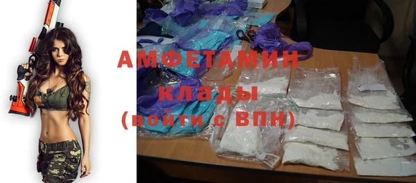 молекула духа Волосово