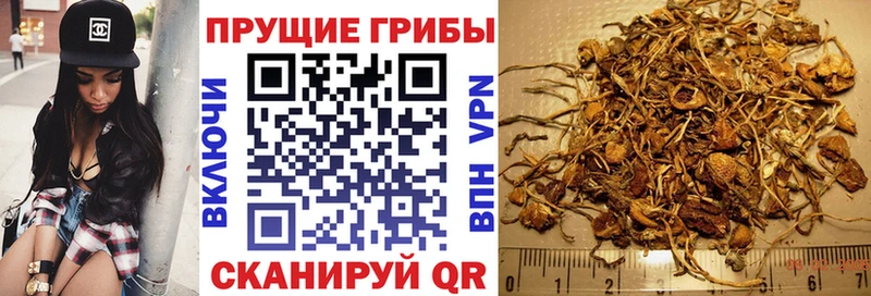 Псилоцибиновые грибы Psilocybe  Раменское 